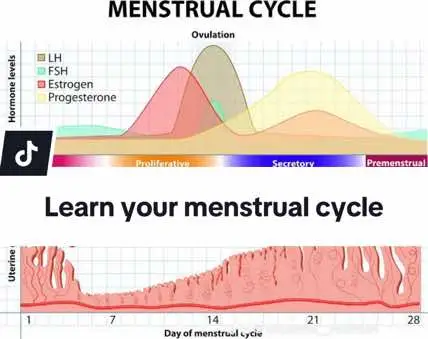 Know your body, understand your hormones. ❤️ . . . . . . #womenshealth #womenshormonesupport #womenshormones #womenshormonehealth #hormones #hormoneimbalance #hormonehealth #hormonebalance #hormonal #hormonalimbalance #hormonalacne #hormonalimbalances #period #periodhealth #fertility #fertilityhealth #fertilityjourney #fertilityawareness #LearnOnTikTok #womenstiktok