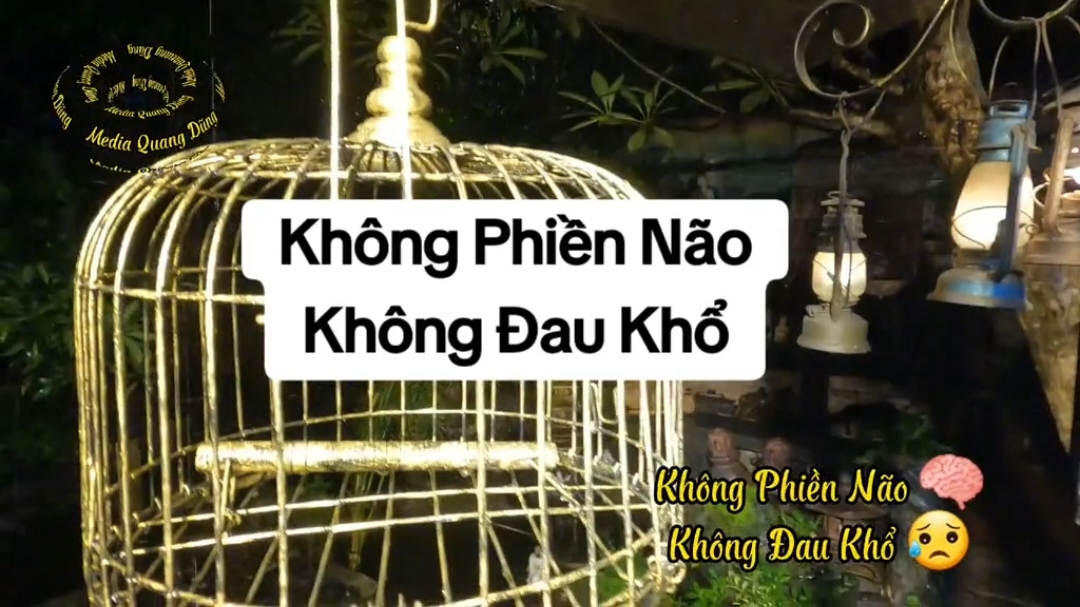 Không phiền não Không đau khổ  #CapCut #edit #fypviral #foryou #tik #capcut_edit #viralvideo #fypシ゚viral #tiktokindia #quayphim #edit #fypage #khongphiennao #khongdaukho #DũngTROC #mediaquangdung #MediaQuangDũng 