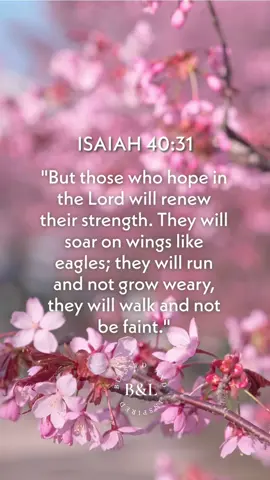Find your strength and renewal in the Lord. He will lift you up!  📌 Don't forget like, share and to follow @blessedandinspired23 for daily inspiration from God's Word 🙏✨  #Prayer #Blessings #trustgod #Love #follow #followforfollowback #instadaily #christian #like #blessings #trustGod #SeekFirst #TrustGod #Priorities  #Blessings #Faith #Abundance #RestInHim #Peace #GentleAndHumble #FindRest  #TrustGod #Priorities #SeekFirst #Hope #Future #GodsPlan #Trust #Renewal