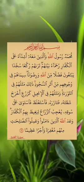 #لا_اله_الا_الله_محمد_رسول_الله🎧🌿🤍 #اسلام #fypシ゚viral🖤tiktok☆♡🦋myvideo #🕋📿🕌regay_islam🌼🦋🤲 #اللهم_صلي_على_نبينا_محمد #اسلامی_☝❣️ویڈیو_دیکھیں😌سبحان_اللہ🤲😭🕋 