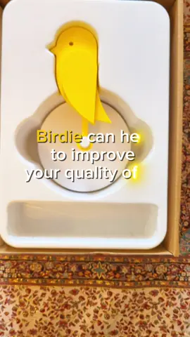 Did you know that humans spend up to 90% of their time indoors and you can improve your health and productivity by letting enough oxygen and fresh air into your room? @Birdie®  got the perfect and modern solution. The cute and modern design is the key at this air quality sensor, that tells you when to get fresh air into your room! #animals #trending #foryoupage #foryou #fyp #dance #caiques #parrot #parrots #parrotsoftiktok #pet #pets #PetsOfTikTok #petlover #Love #beautiful #cute #caique #caiques 
