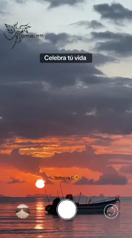 #celebration #tuvida #frases #fypシ゚viral #vida #reflexion #fypシ #paratii 