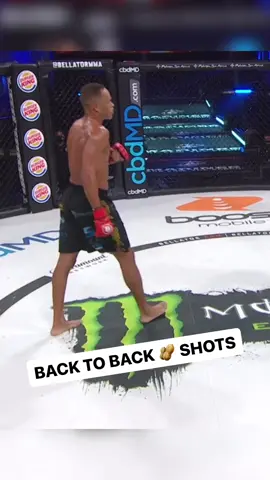 Protect yourself at all times or else… 😥 🥜 #ouch #lowblow #fight #mma #pfl #bellator #sports
