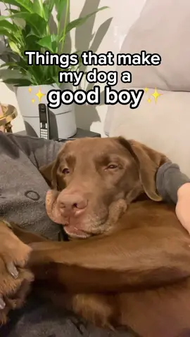 The bestest boy 💖