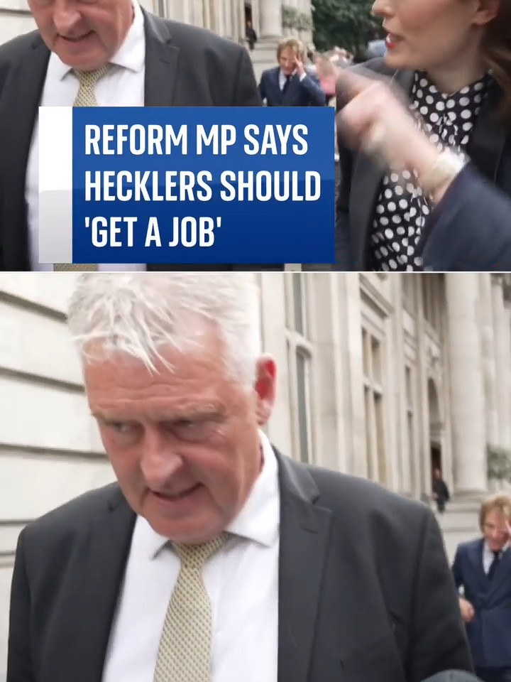 Reform UK MP Lee Anderson has called hecklers "professional nuisances" after Nigel Farage's speech was interrupted by one. #reformuk #leeanderson #uk #generalelection #nigelfarage