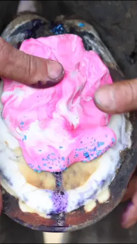 restoring a horse hoof - wait til the end! #horse #horses #satisfying #asmr #horsesoftiktok #horsesontiktok #restoration #hoof 