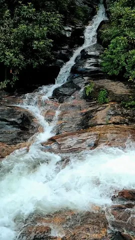 Nature Vibes in Georgia - Dukes Creek Falls - Helen  #waterfall #waterfalls #nature #naturevibes #naturelove #naturelover #naturelovers #calming #positivevibe #peaceful #goodvibes #longwaydown #forest #forestvibes #photography #beauty #fyp #takeawalk #explore #trail #Hiking #hike #Outdoors #trails #lovetrails #positivevibes #natureisbeautiful #meditation #aestheticnature #timepass #lostworld #meditate #trailspinexplorer 