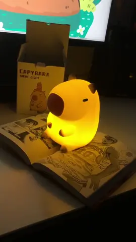 Your favorite lamp 🥹😍                                 #cute #capybara #light 