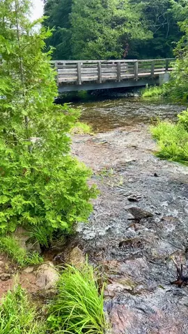 Exploring Gatineau Park in Quebec, Canada! Join me on a hike to the Carbide Willson Ruins and Falls along Trail 35. An hour of scenic trekking in the beautiful woods of Gatineau Park—definitely a place you'll love!#gatineau #quebec #canada_life🇨🇦 #ottawa #canada 