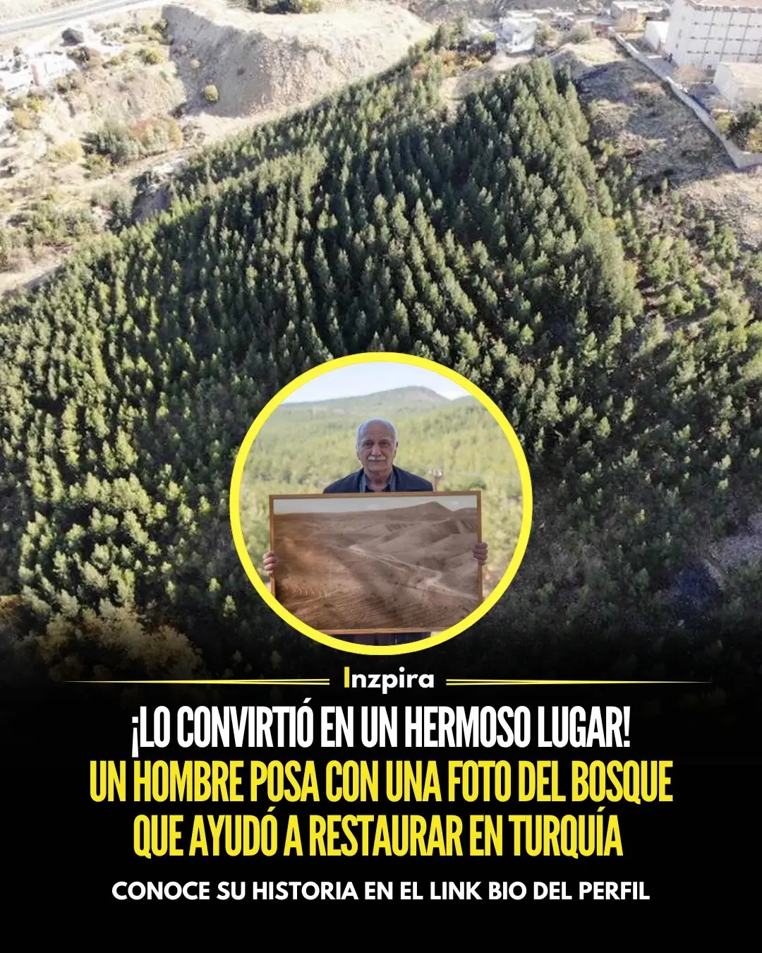 En el sur de Turquía, Sehmus Erginoglu, un hombre de más de 70 años, ha dedicado las últimas tres décadas de su vida a transformar un terreno baldío en un vibrante bosque. Originario de Mardin, Turquía, Erginoglu comenzó su proyecto ecológico limpiando la basura del sitio, instalando tuberías de agua y plantando árboles jóvenes.  Hoy, ese esfuerzo ha resultado en un bosque de alrededor de 11,000 árboles, con miles más plantados en áreas cercanas. ✅ Conoce el detalle en el link bio del perfil.  • • • #Turquia #Bosque #Arboles #Reforestar #ambiente #naturaleza 