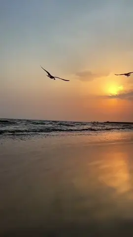 يالله بطول العمر لأمي وأبي. حفظ الله والدينا و والديكم ورحم الله من توفى منهم رحمة واسعه .#شعر #الفهد🇸🇦 #شعروقصايد #الانتشار_السريع #fyp #fypage #اكسبلورexplore #ترند_تيك_توك #الشعب_الصيني_ماله_حل😂😂 