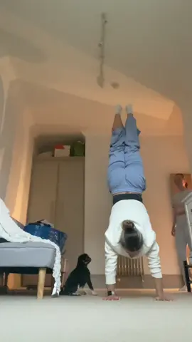 Day 5 of one handstand a day with Freddie 🐶 #handstand #handbalance #dogtok 