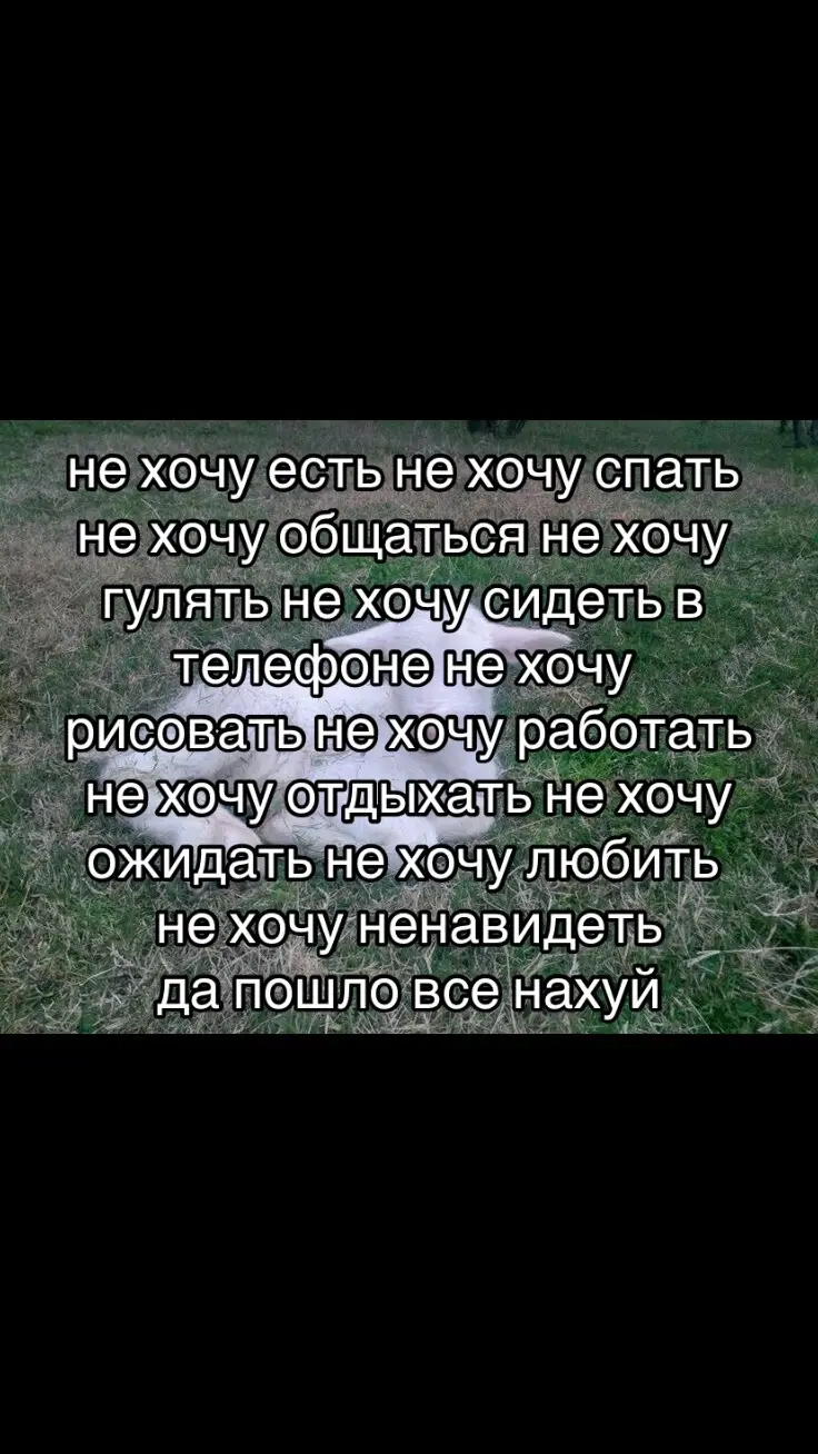 #козел#рек 