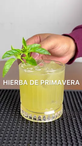 COCTEL HIERBA DE PRIMAVERA.  • 60 ml o 2 oz de whiskey bourbon.  • 22.5 ml o 3/4 oz de licor de manzana.  • 15 ml o 1/2 oz de zumo de limon.  • 7.5 ml o 1/4 oz de almibar de gengibre.  • 5 a 6 hojas de albahaca.  #bourbon #whiskey #cocktails #drinksideas #cocteles #tragos #parati #viral 
