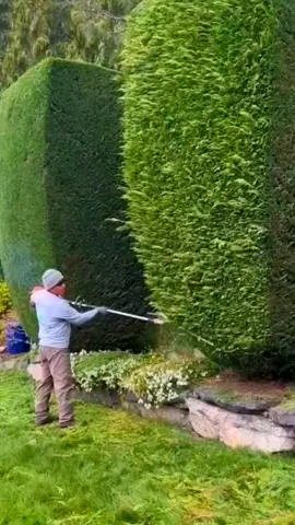 Satisfying Gardening Work 🤩🍀 #garden #gardening #satisfying #cleaning #hedges #viral #asmr #relaxing #fypシ #fyp #usa 