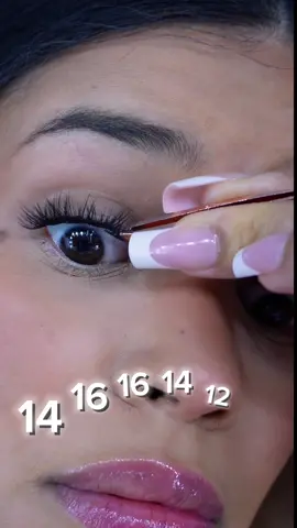 Lash map 14,16,16,14,12,10 You’re welcome 💋  Link in bio ❤️🫶🏼 #lashset#clusters#bqlashes #athomelashtutorial#lashmap#latinacontentcreator#dominicancontentcreator #beautytips#fyp#parati