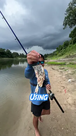 River MONSTER Fishing GONE WRONG…#fish #riverfishing #fishing #gonewrong #rivermonster #bigbait #baitfishing 