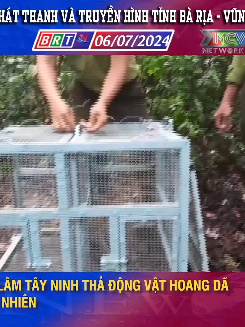 Kiểm lâm Tây Ninh thả động vật hoang dã về tự nhiên #thbariavungtau