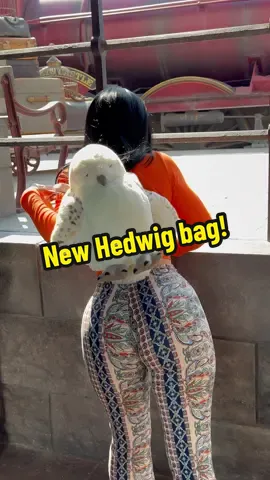Forgot to show you when i got my Hedwig bag! #viral #fyp #OOTD #foryou #universalstudioshollywood #harrypottertiktok 