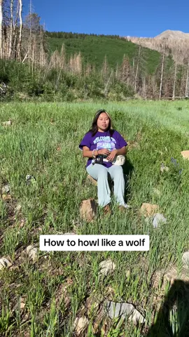 How to howl like a wolf #howl #howling #howlingwolf🐺 #howto #fypシ゚viral #fypage #fy 