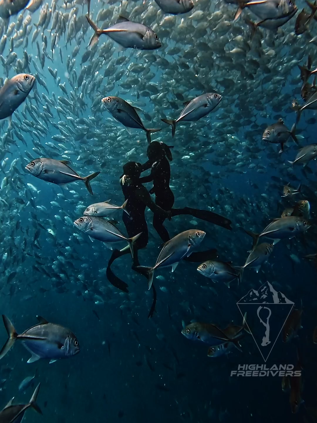 Kurt & Len ❤️Mag jowa man o mag asawa, tara mag freedive na para makapag couple awra na din!  ❤️‍🔥Kung single at naghahanap ka, baka sa freediving mo sya makilala!  ❤️‍🩹Kung sawi ka, nakakapagpalimot ng mapait na nakaraan ang freediving, pramis! Start your freediving journey now and explore the world beneath the surface Message us for inquiries and to book your schedule  #highlandfreedivers #baguiofreedivers #binukbok #SchoolOfJacks #freediving #underwatervideo #freedivingph #coupleawra #BauanBatangas #goproph #girlsthatfreedive #FreedivingCouple  BGM - 14 by Silent Sanctuary. No copyright infringement intended See less