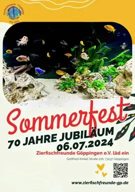 Aquarium Verein Sommerfest in Göppingen. Wir sind am Samstag mit einem Verkaufsstand auch vor Ort,  kommt uns gerne besuchen. Auch für das leibliche Wohl ist bestens gesorgt 🌭🍻🤠👍 --- Darüber freuen sich die anderen Bewohner in meiner Aquarium Zuchtanlage: Zwerggarnelen / Garnelen, Wasserschnecken, Krebse, Krabben, Wasserpflanzen, Moose.. 🦐🌿 Aqua Birne Shop: Aqua - Birne . de 🐌🦞 ▶️ Folge mir gerne für mehr! Aquaristische Grüße Daniel Birnbaum, die Aqua Birne 🍐 . . . #Aquarium #aquariumhobby #garnelen #garnelenaquarium #garnelenbecken #nanocube #nanoaquarium #neocaridina #caridina #aquascaping #garnelenzucht #zwerggarnelen #aquaristik #fische 