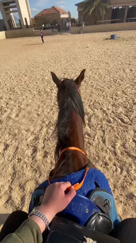 تِفاصيلك خذتني لك 🤎#CapCut #خيل_وخياله🐎 #explore  #الشعب_الصيني_ماله_حل😂😂 #خواطر #like #اكسبلور 