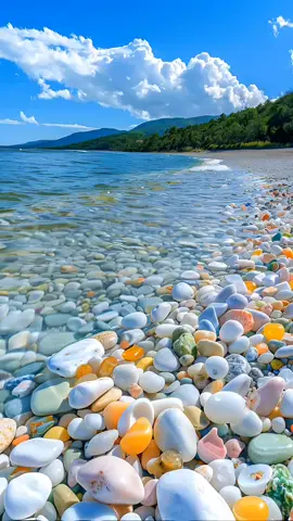 Crystal Stones Beach 🌊 🐬 #scenery #Crystal