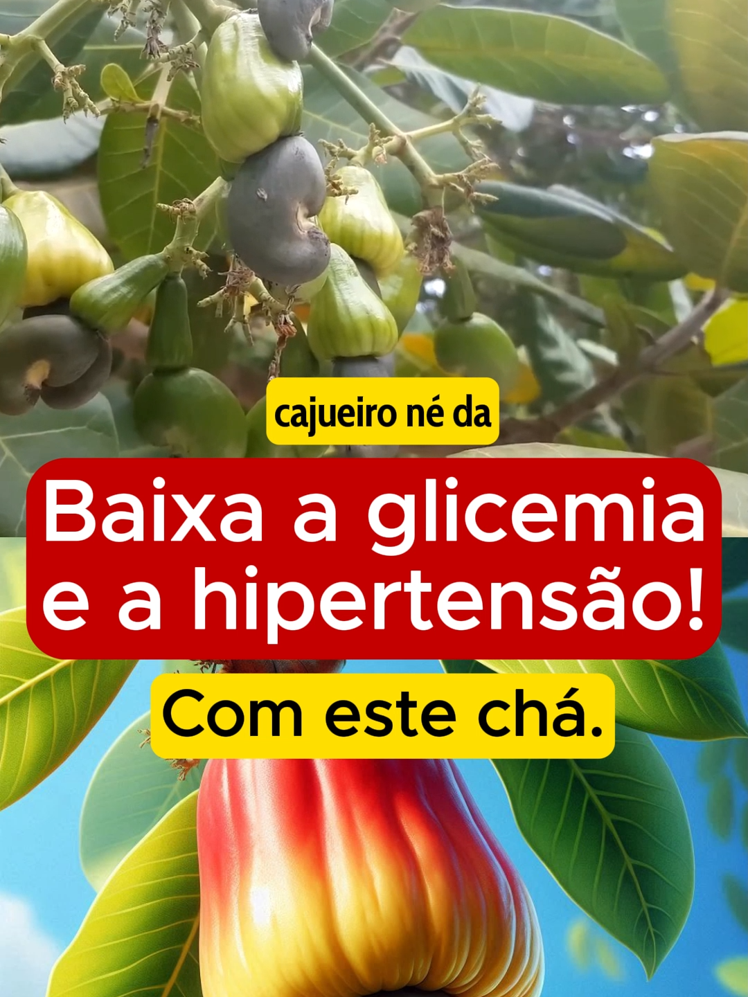 Como baixa a glicemia e a hipertensão com o chá dessa fruta! Sabia disso? Deixe o seu comentário e siga o nosso canal. #diabetes #diabetestipo2 #hipertensão #glicose #glicemia #insulina #saude