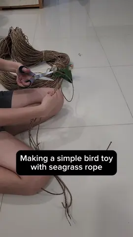 Making a simple bird toy with seagrass rope #birdtoy #DIY #lovebird #parrotsoftiktok #parrot #parrotstiktok 
