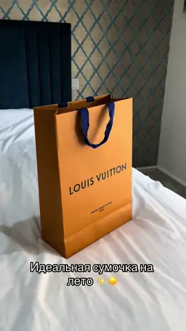 Lv pochette accessories 2024 💔