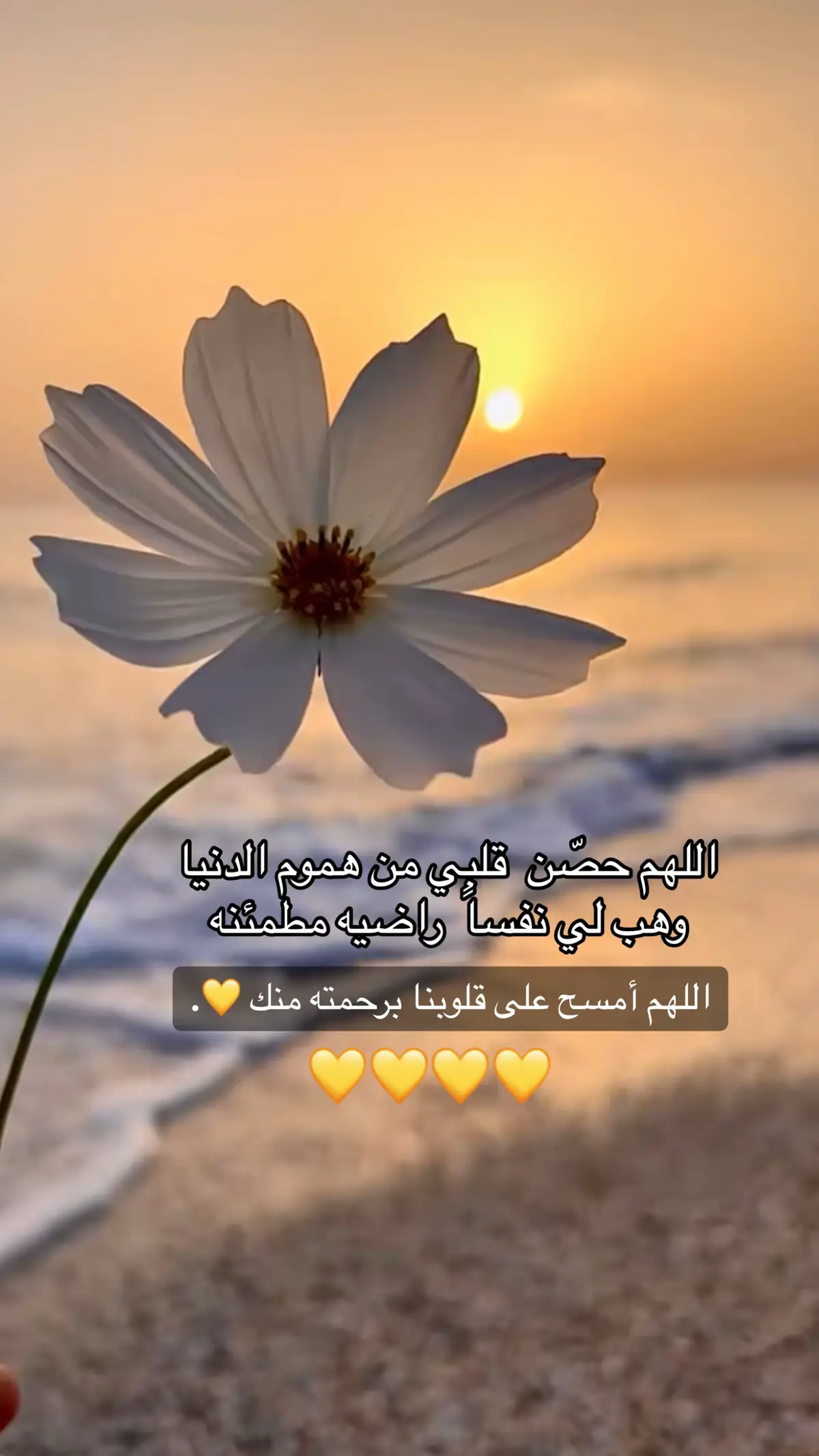 #ارح_قلبك_المتعب_قليلاً🤍💫 #قران #اكتب_شي_توجر_عليه #ارح_سمعك_بالقران #حسبي_الله_ونعم_الوكيل_💔💔💔😢😢😢 #اكتب_شيء_تؤجر_عليه🌿🕊 #ارح_سمعك_بالقران_الكريم_أجر_لي_ولكم #اللهم_نسألك_حسن_الخاتمة #يارب #الجنه_باذن_الله #صدقه_جاريه #القران_الكريم_راحه_نفسية😍🕋 #اذكروا_الله_يذكركم👆💖 #لا_اله_الا_الله_محمد_رسول_الله #اكتب_شي_توجر_عليه_باذن_الله❤ #fyp #foryou #fypシ #fy #quran #goviral #اكسبلور #اكسبلورexplore 