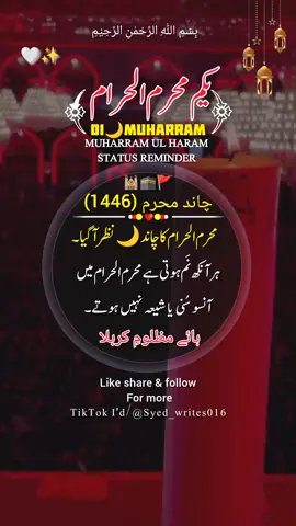 01 MUHARRAM UL HARAM (1446)HIJRI#deartiktokteamdontunderviewmyvideos #status #viral #100klikes #1billionauidition #standwithkashmir #buhran_tv #islamic_video #syedwrites016 