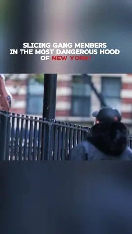 They ain't playing games in New York dawg... #prank #newyork #hood #slicing #gang #us #viral #fyp