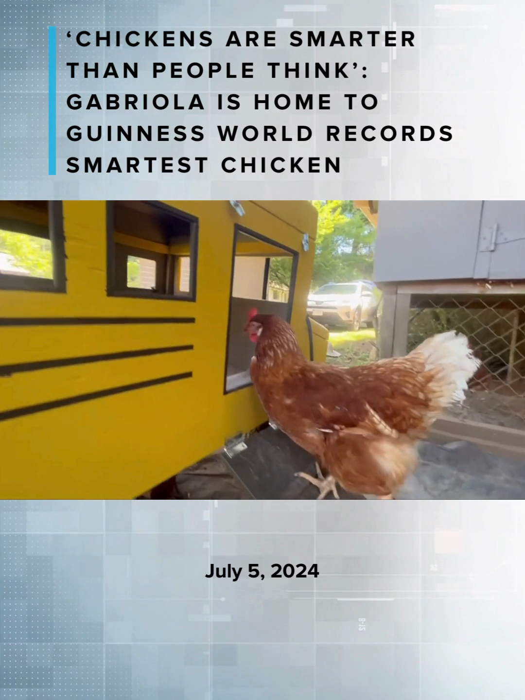 A Gabriola Island chicken is capturing global attention, and elevating opinions about her species' smarts after being named World's Smartest Chicken by Guinness World Records.  