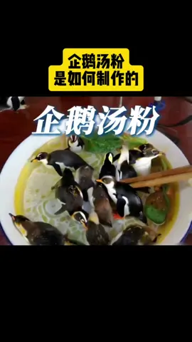 企鹅汤粉，这生成效果也太六了！#ai #ai工具 #ai视频 #lumaai #可灵ai 