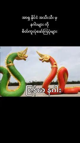 နဂါး နဂါး နဂါး #အာရှနဂါးများ