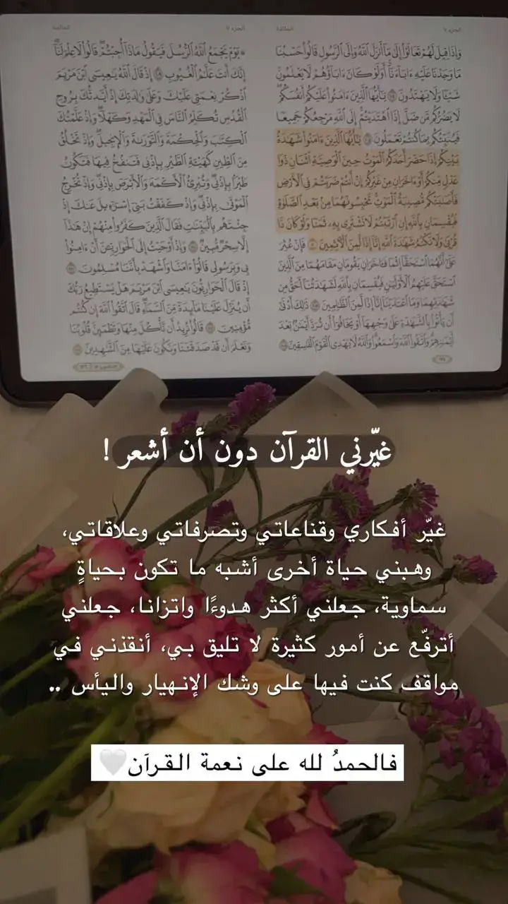 . . #alaaallah77 #أهل_القرآن #حلقات_تحفيظ_القرآن_الكريم.  #حلقات #تعليم_عن_بعد  @غيــــ🌧ــــمة | مصممة 