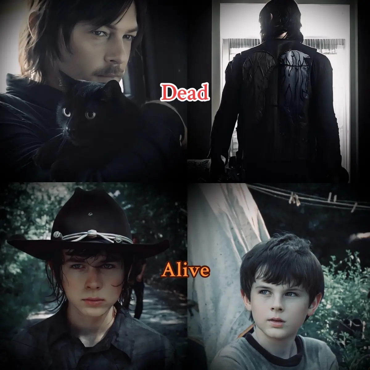 give me your opinion. I love Carl but his death gave a sad side to the series (compared to Rick) but if Daryl would have died in his place the series would not have been the same..|#twd #thewalkingdead #daryldixon #carlgrimes 