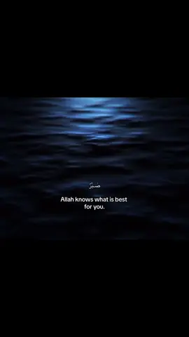 #allah #anime #islamic_video #muslim #foryoupage #fyp #vinlandsaga 