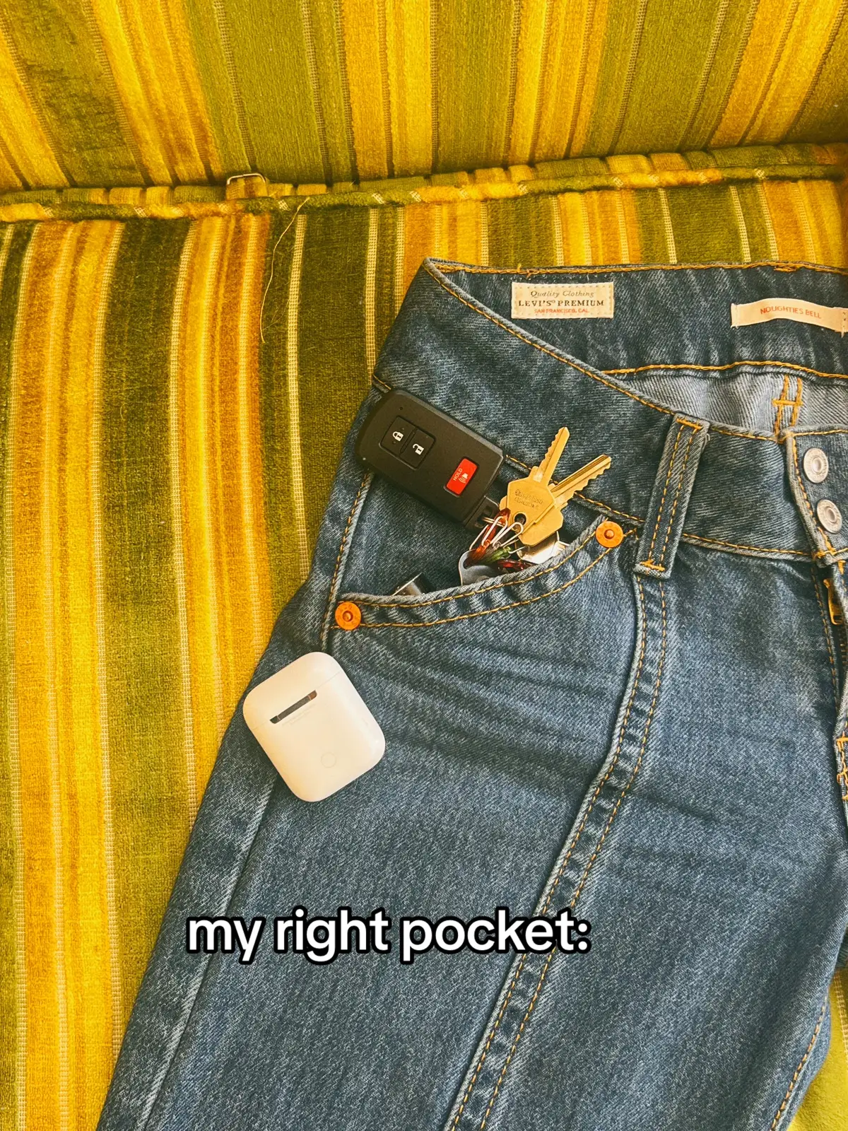 keep that thang on me✊ #jeffbuckley #catsoftiktok #flamepointsiamese #orangecat #adhd 