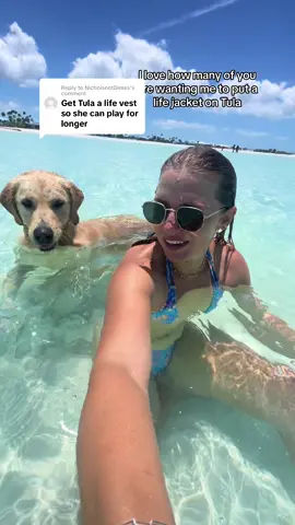 Replying to @NicholsnotDimes if there was doggy olympics Tula would be competing! #dog #goldenretriever #safety #dolphin #animalencounters #ocean #beach #bahamas #florida #swim 