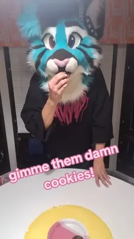 damn those cookies are dangerous!😽 #furrythrash #fursuiters #furries #cat #furryfandom #catfursuit #catfursuiters #fursuiteroftiktok #turri #mainecoonfursuit #kittycat #furry #kitty #fursuit 