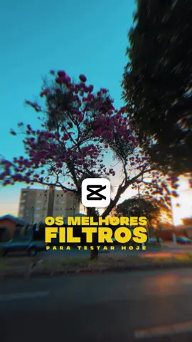 Dica dos melhores filtros do capcut!  • Antes de aplicar esses filtros, ajuste a iluminação em ajustes(ao lado do filtro) • Certifique que sua imagem está com uma boa qualidade, só assim os filtros vão funcionar • Me segue pra dicas diárias de edição de vídeo e foto! ❤️ #ediçãodeimagem 