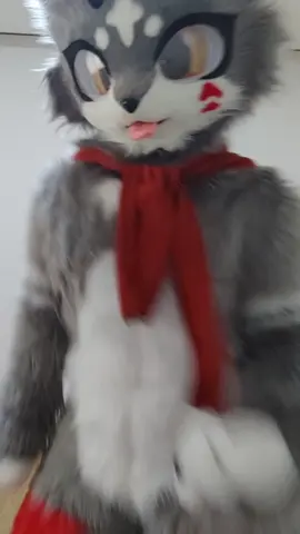 점점 왼쪽으로 가요🤣 #furryfandom 