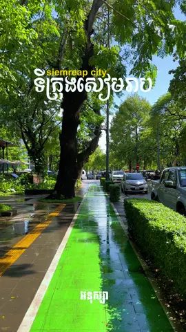 អ្នកសៀមរាបផ្តាំសួរ មាននឹកសៀមរាបអត់ 🌿✨ #Anuksa_អនុស្សា #cambodia #siemreap #city #roadtrip #raining #photography #reels 
