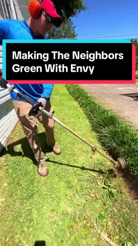 Making The Neighbors Green With Envy #lawntok #lawncare #lawntiktok #lawncarelife #fyp #lawncarecommunity #lawnmowing #lawnedging 