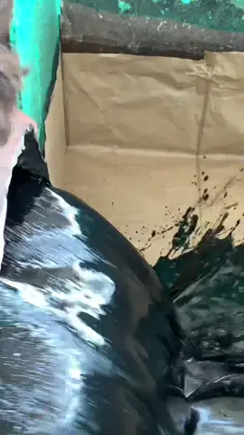 How is foam made in a factory Part 4 #fypシ゚viral #machine #factory 