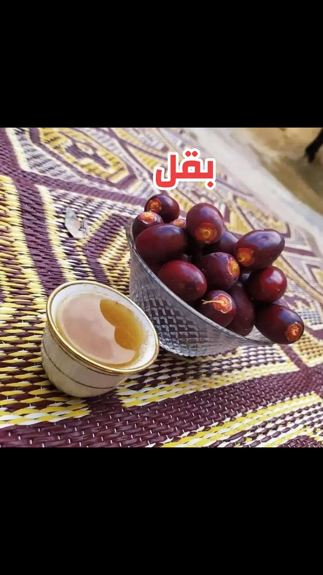 #حضرموت #الوادي 