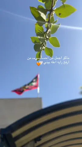 والبسلك ثوب الاسود ..حتى تبين هويتي والخدمه قضيتي#محرم #عاشوراء #محرم #🏴 #🤍#🥹